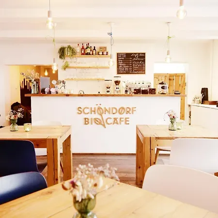 Schoendorf Hostel - Virtual Reception-3